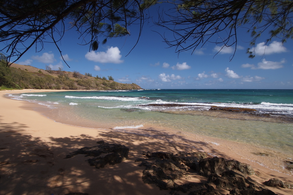 Moloaa Bay, Kauai 1