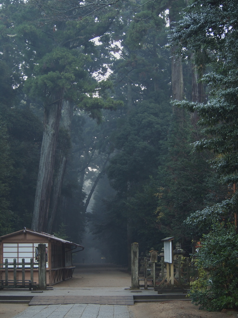 鹿島神宮の朝