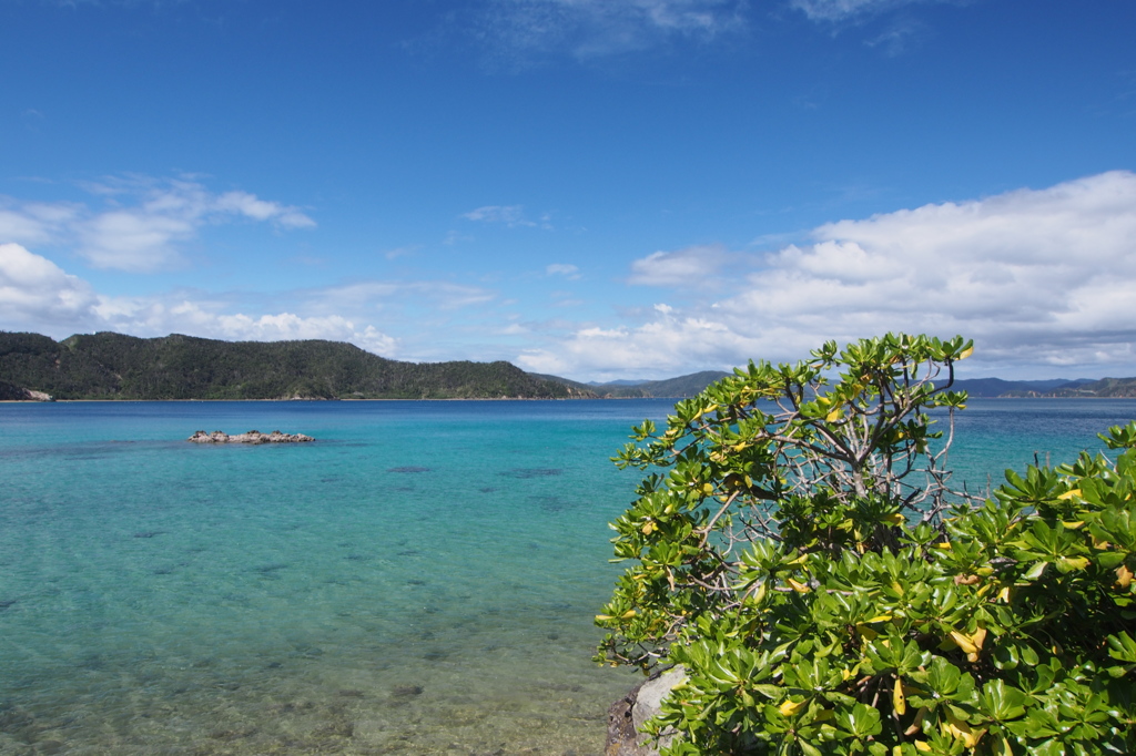 勝能の海1