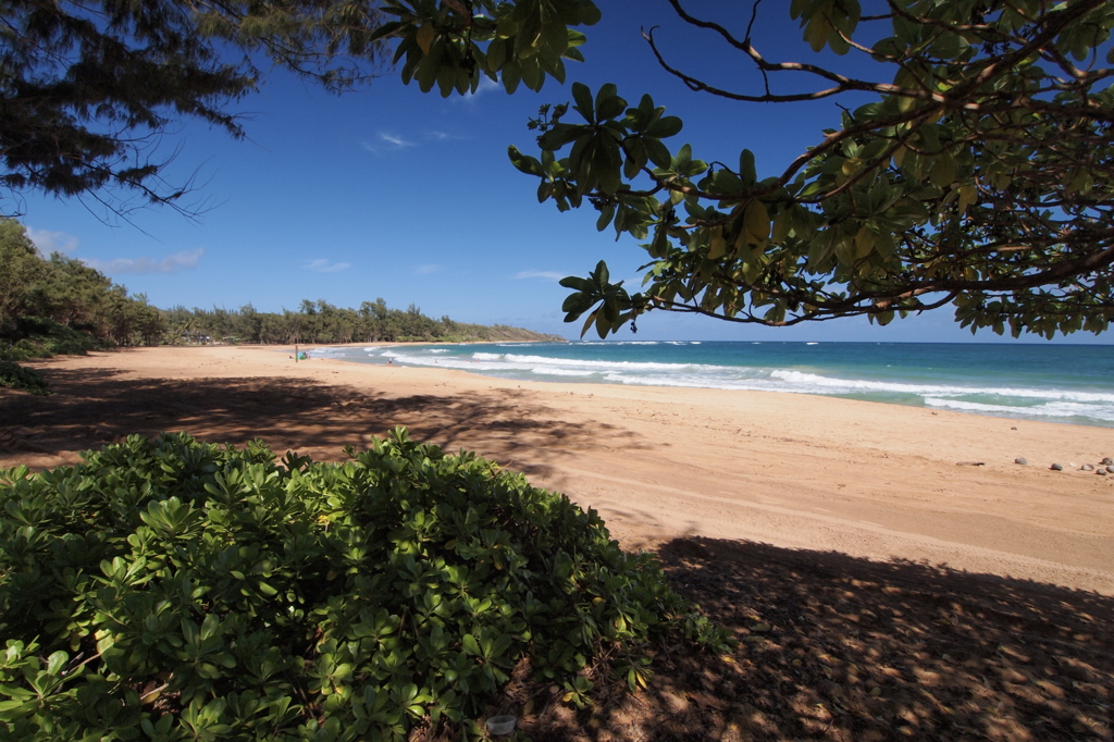 Anahola Beach, Kauai