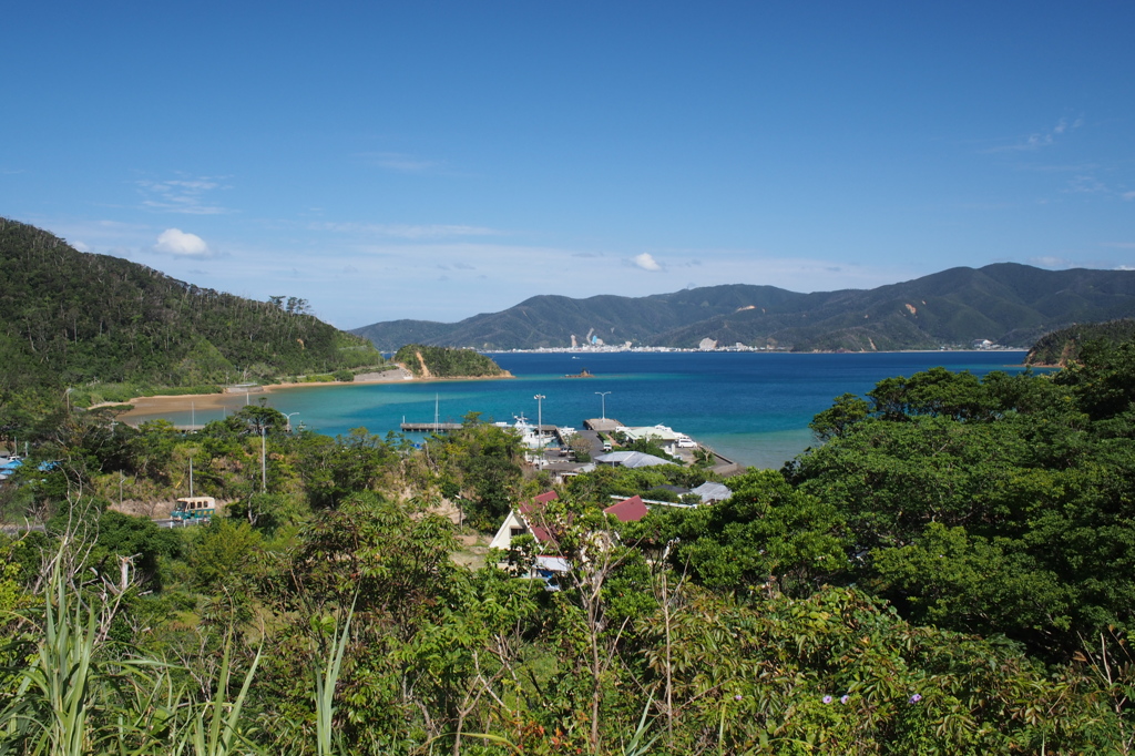 峠から見た生間港