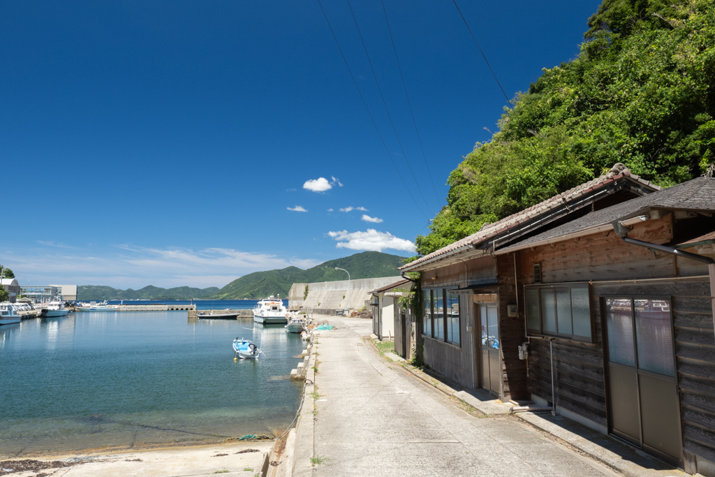 隠岐 知夫里島 来居港#2