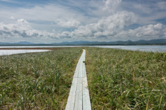 能取湖ホタテ島