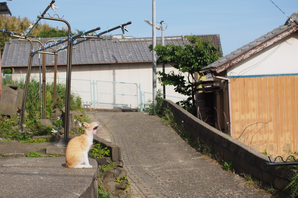 ぐぅぁ～～～～