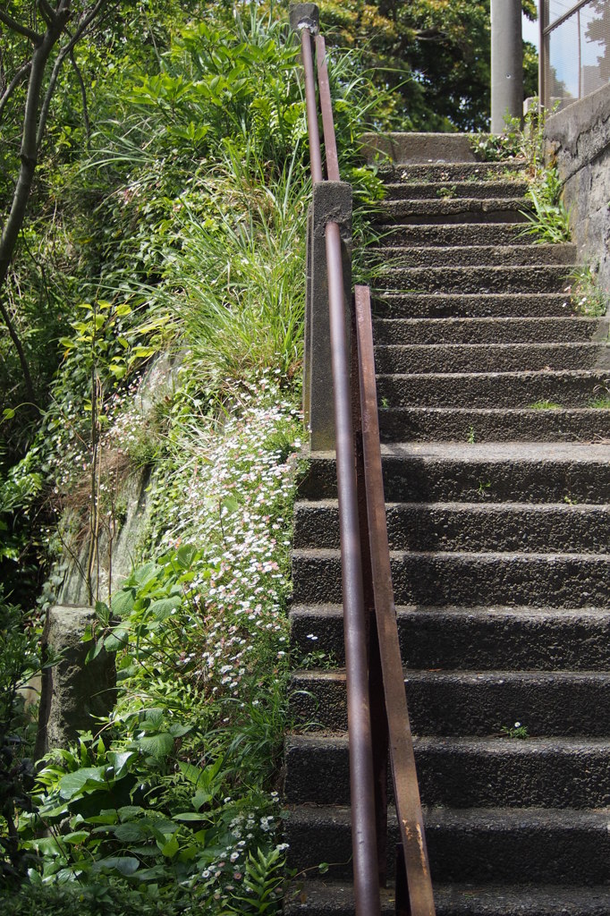 路地裏の階段