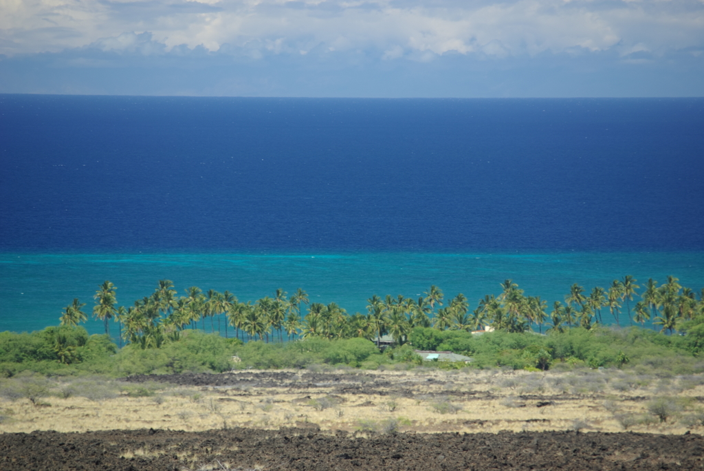 Kohala Coast