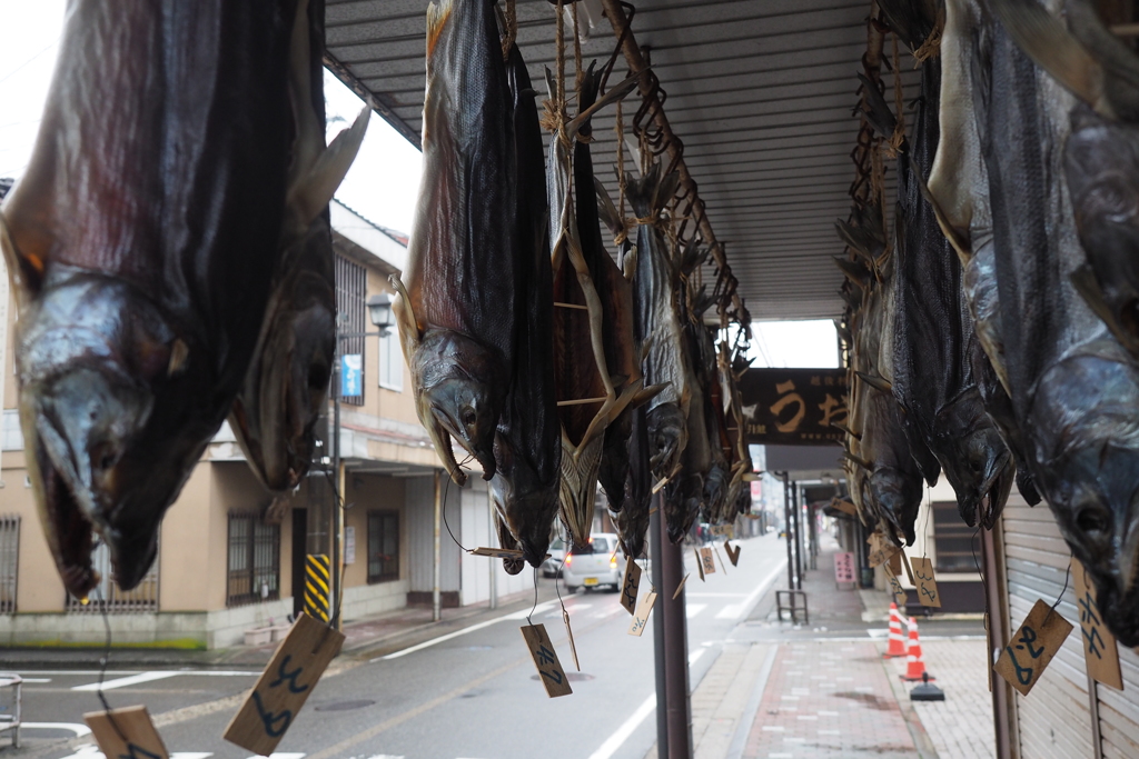 新潟県村上散歩６