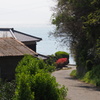 睦月島　海へ向かう道