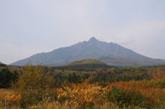 南浜からの利尻山