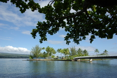 Hilo Coconut Island
