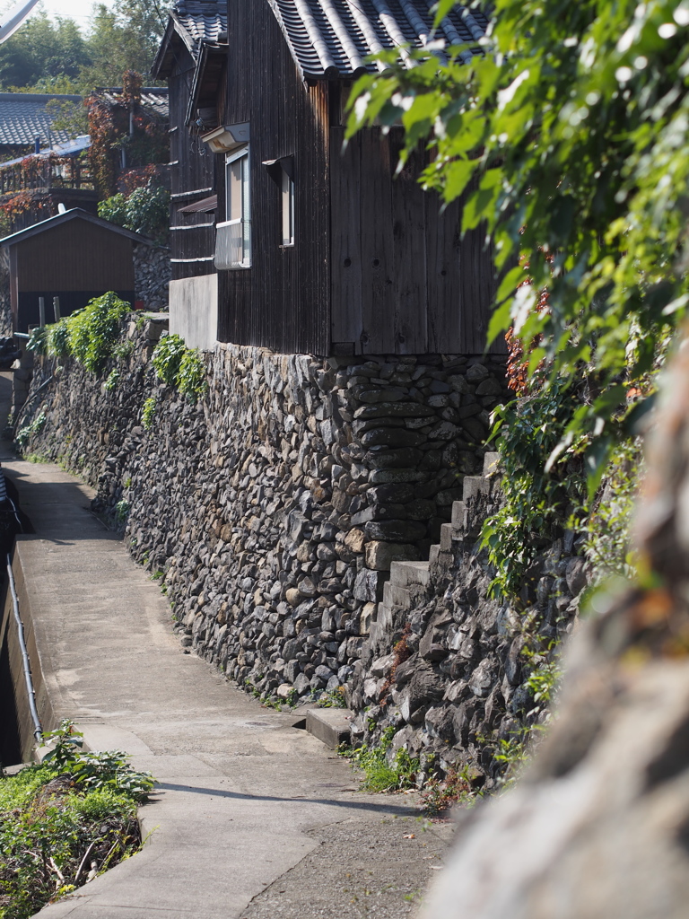 高見島　４