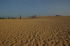 White Sand Dunes 3