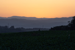 網走朝日ヶ丘の夕暮れ