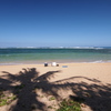 Tunnels Beach, Kauai 1
