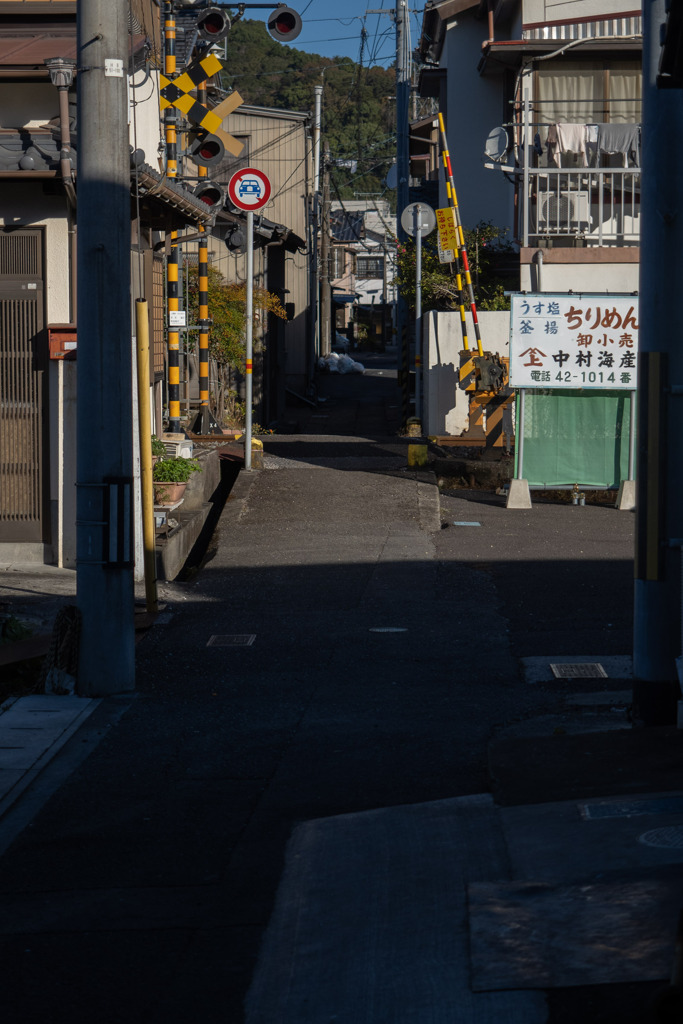 須崎朝散歩 #02