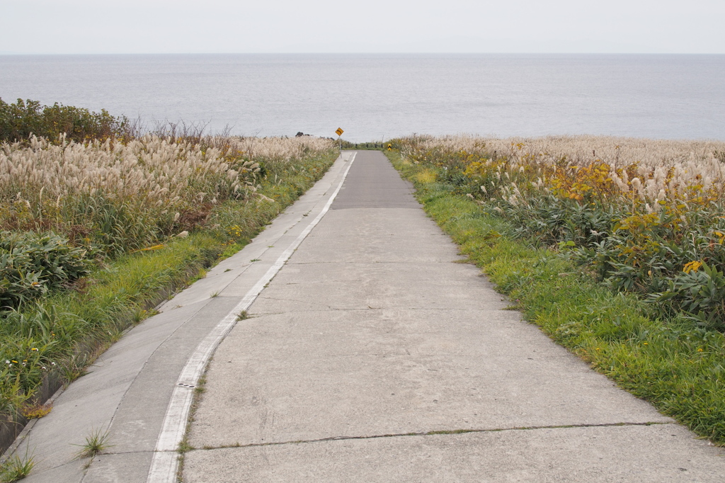 島をまわる道