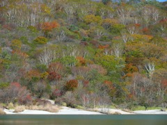 赤城山小沼の紅葉
