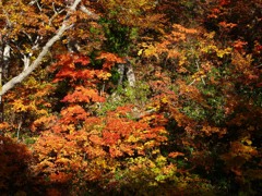 山ノ鼻の近く