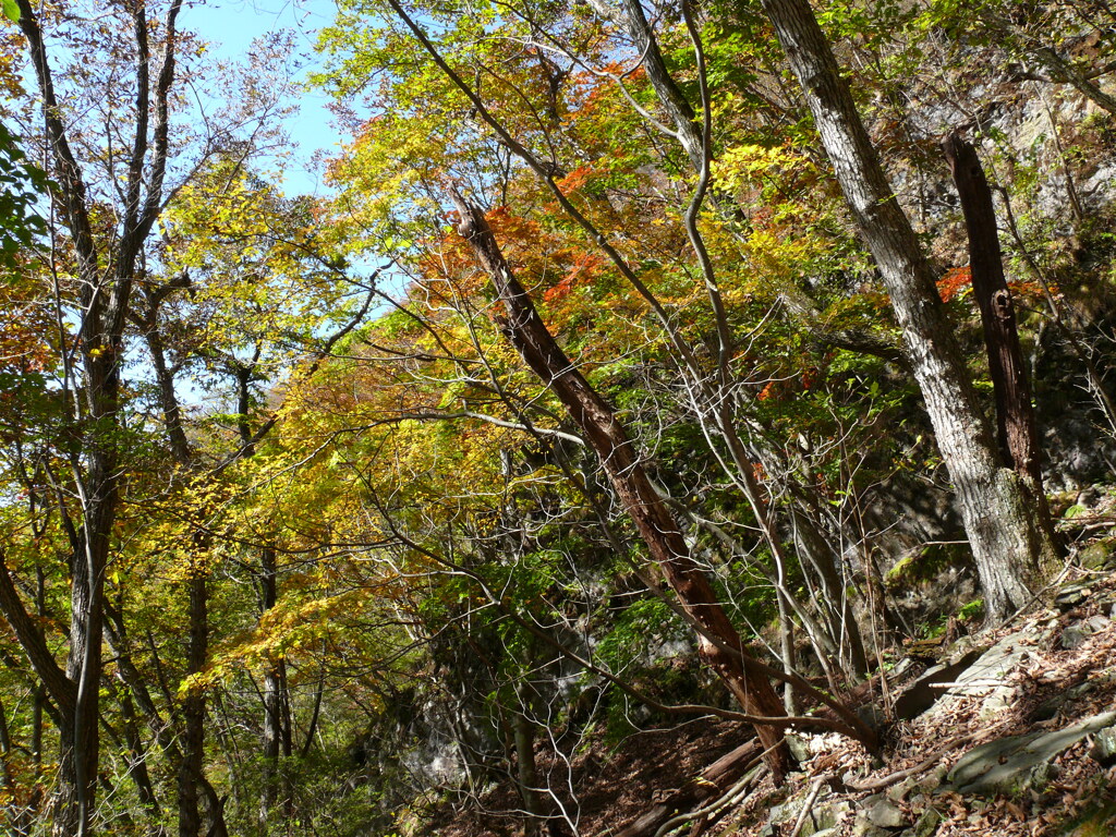 榛名山相馬山黒髪尾根