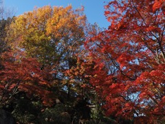 桜山公園Ｂ