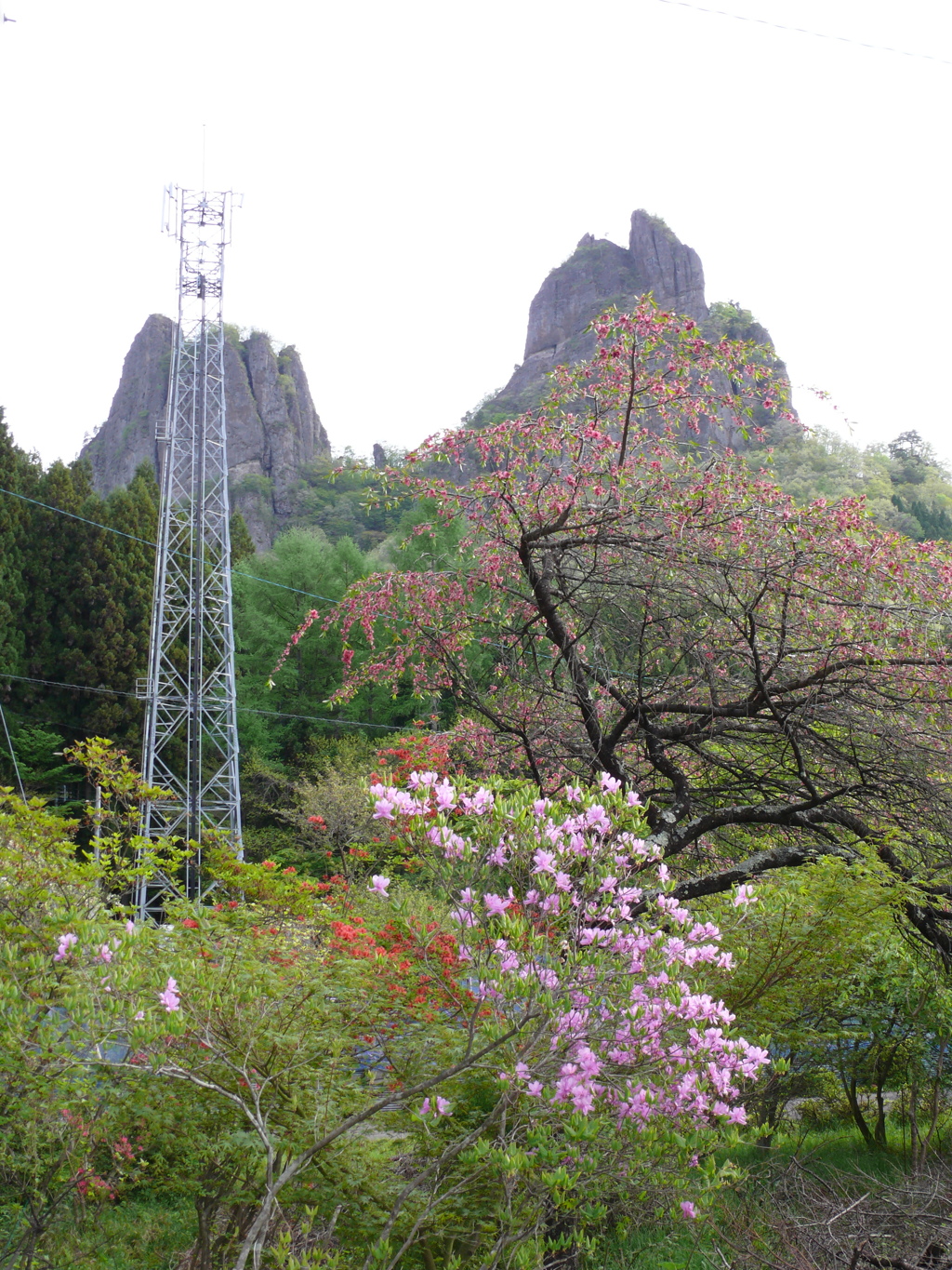 春の高岩