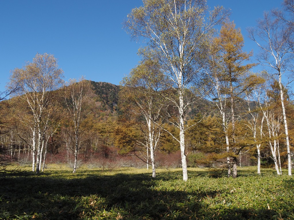 小田代原　2024.10.21　01