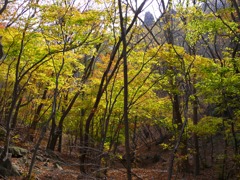 子持山の大タルミあたり