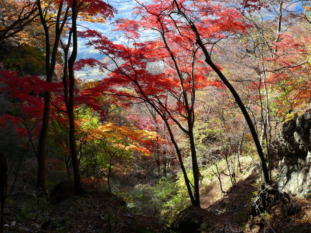 岩櫃山　蜜岩通り　（Ⅰ）