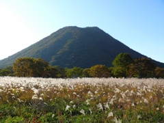 ススキと榛名富士