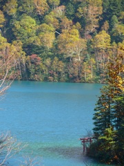 大沼池の赤鳥居