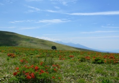 霧ヶ峰（車山）