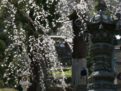 妙義神社