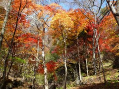 岩櫃山　赤岩通り