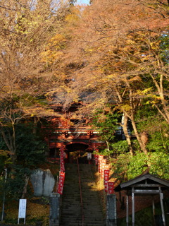 水沢観音仁王門