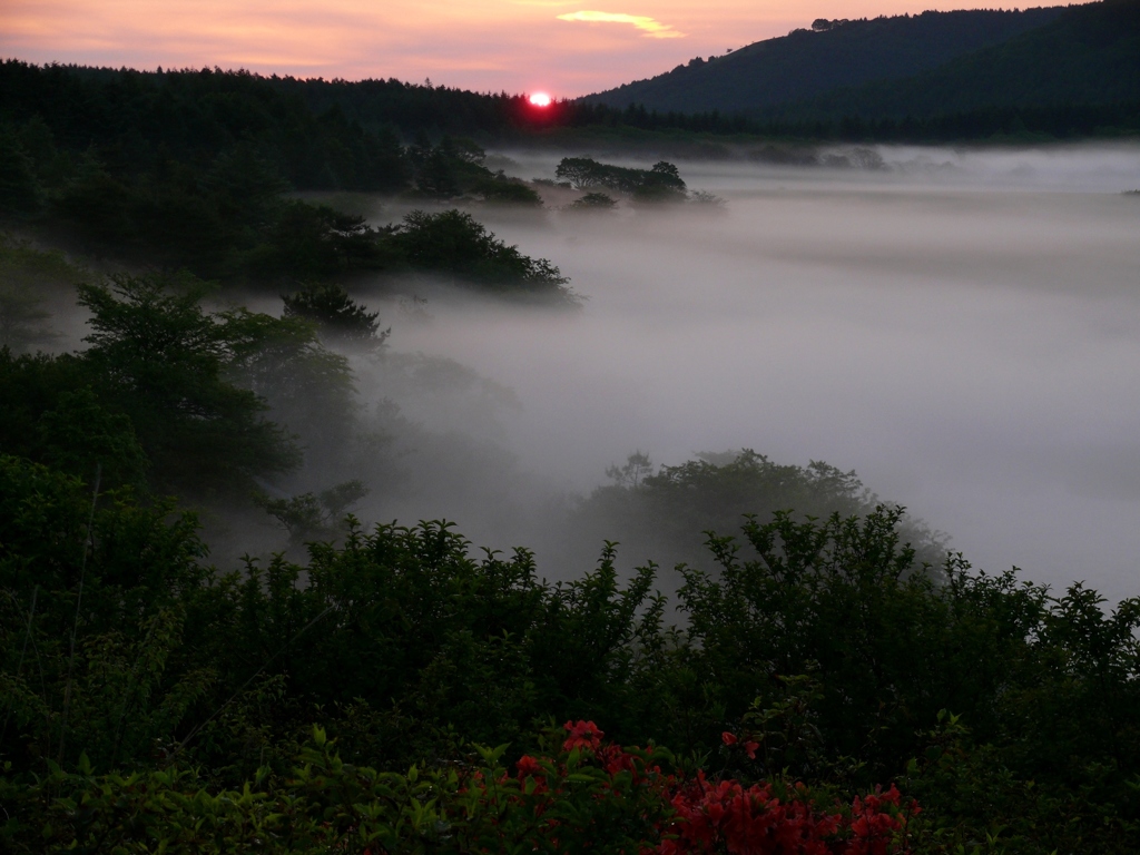 八島ヶ原湿原 sunrise