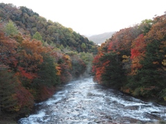 竜頭滝　2024.10.21