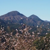 桜山公園Ｃ