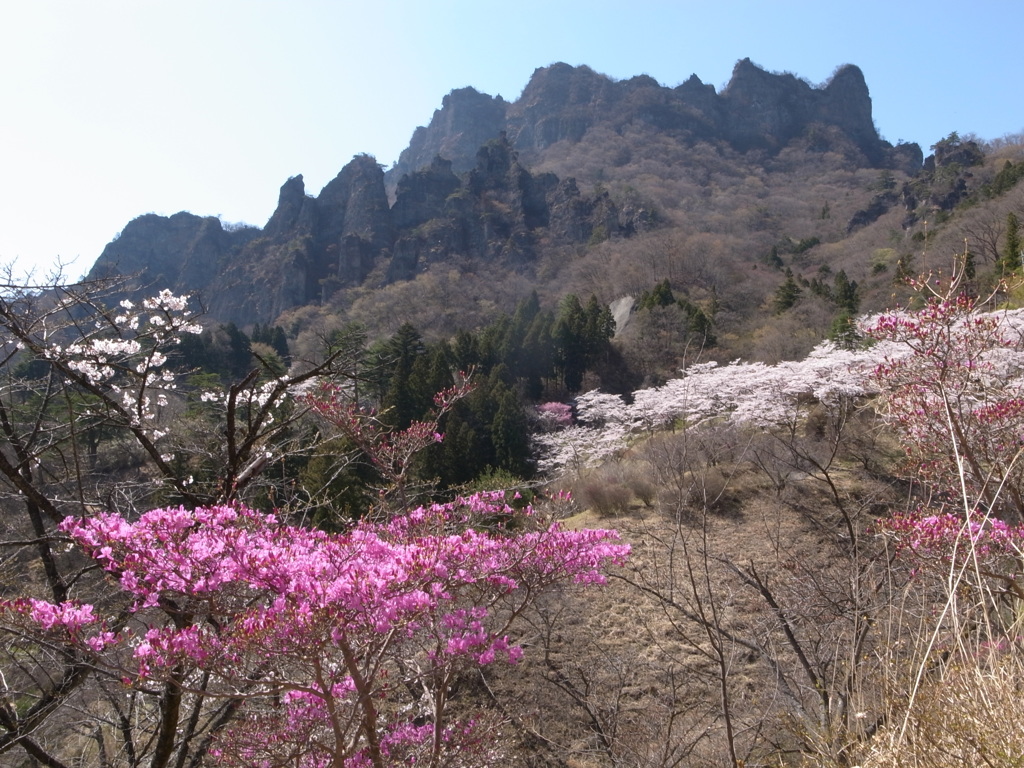 妙義山さくらの里　2019-A