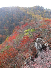 白髪岩の秋