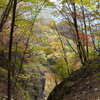 山急山の紅葉