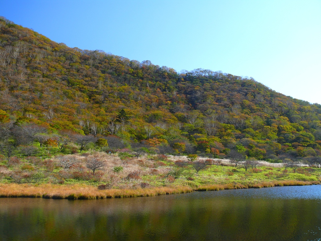 覚満淵の紅葉