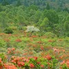 コンコン平（湯ノ丸山）