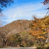 赤城山06　地蔵岳　2024.10.31