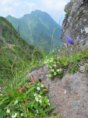 IMG_0742m