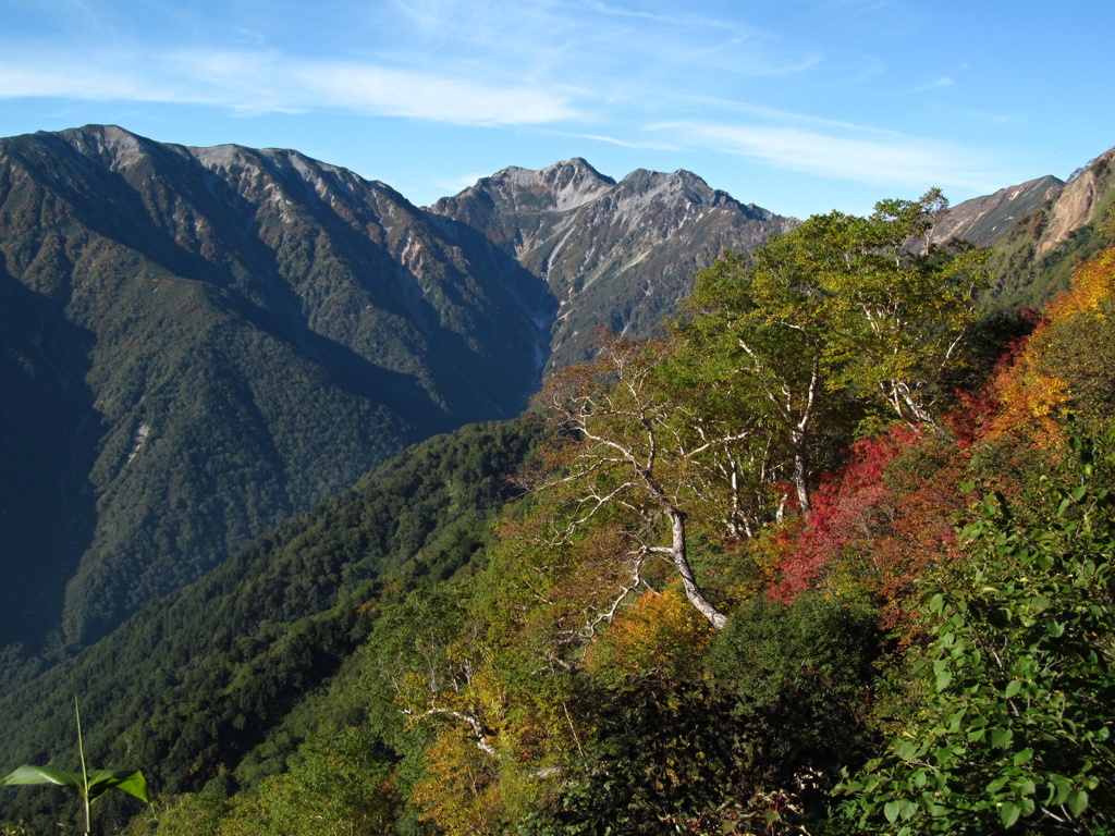 紅葉の針ノ木岳1