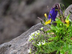 IMG_0666m