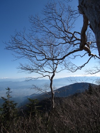 蝶ヶ岳登山道から見る安曇野