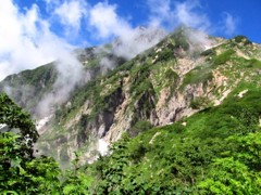 IMG_2959