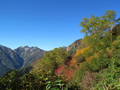 紅葉の柏原新道から望む鉢ノ木岳2