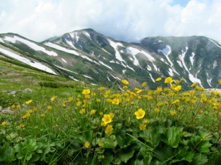 小蓮華山から鉢ヶ岳付近1